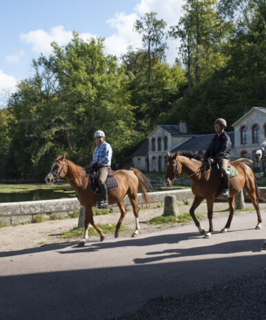 Exploring on horseback