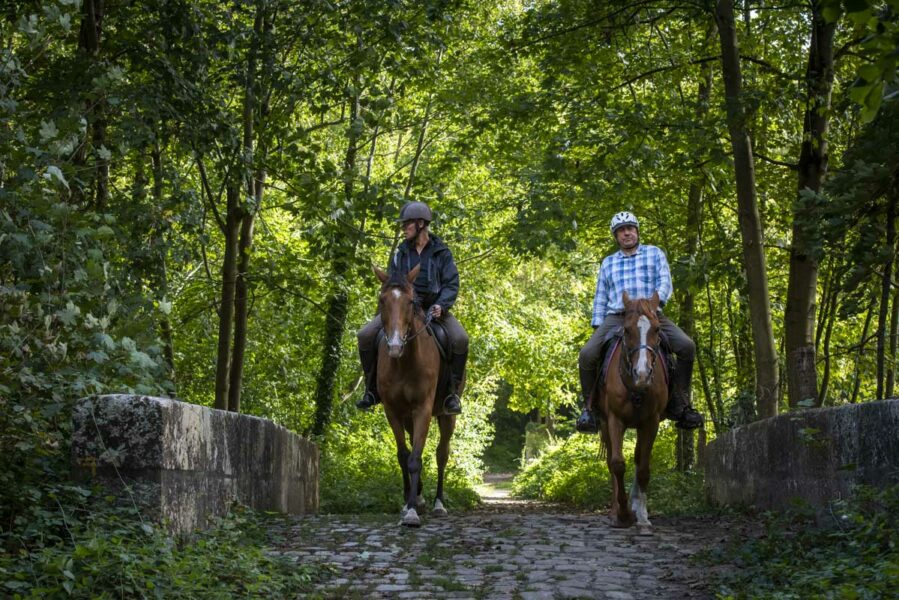 Cheval