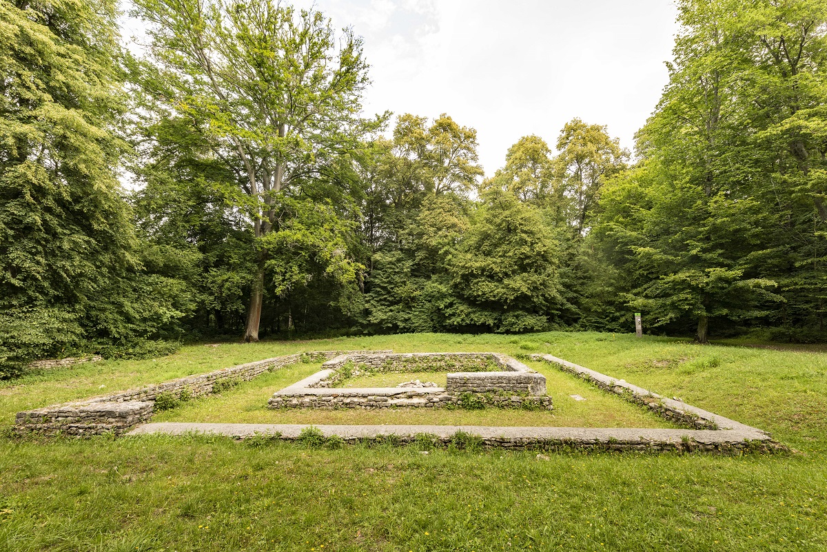 Vestiges and troglodytes