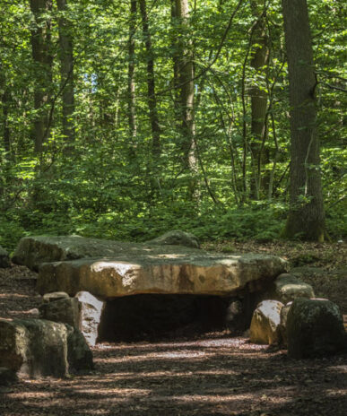 Vestiges and troglodytes