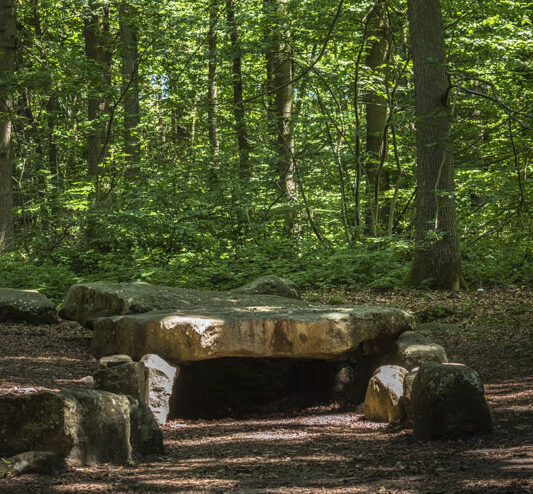 Vestiges and troglodytes