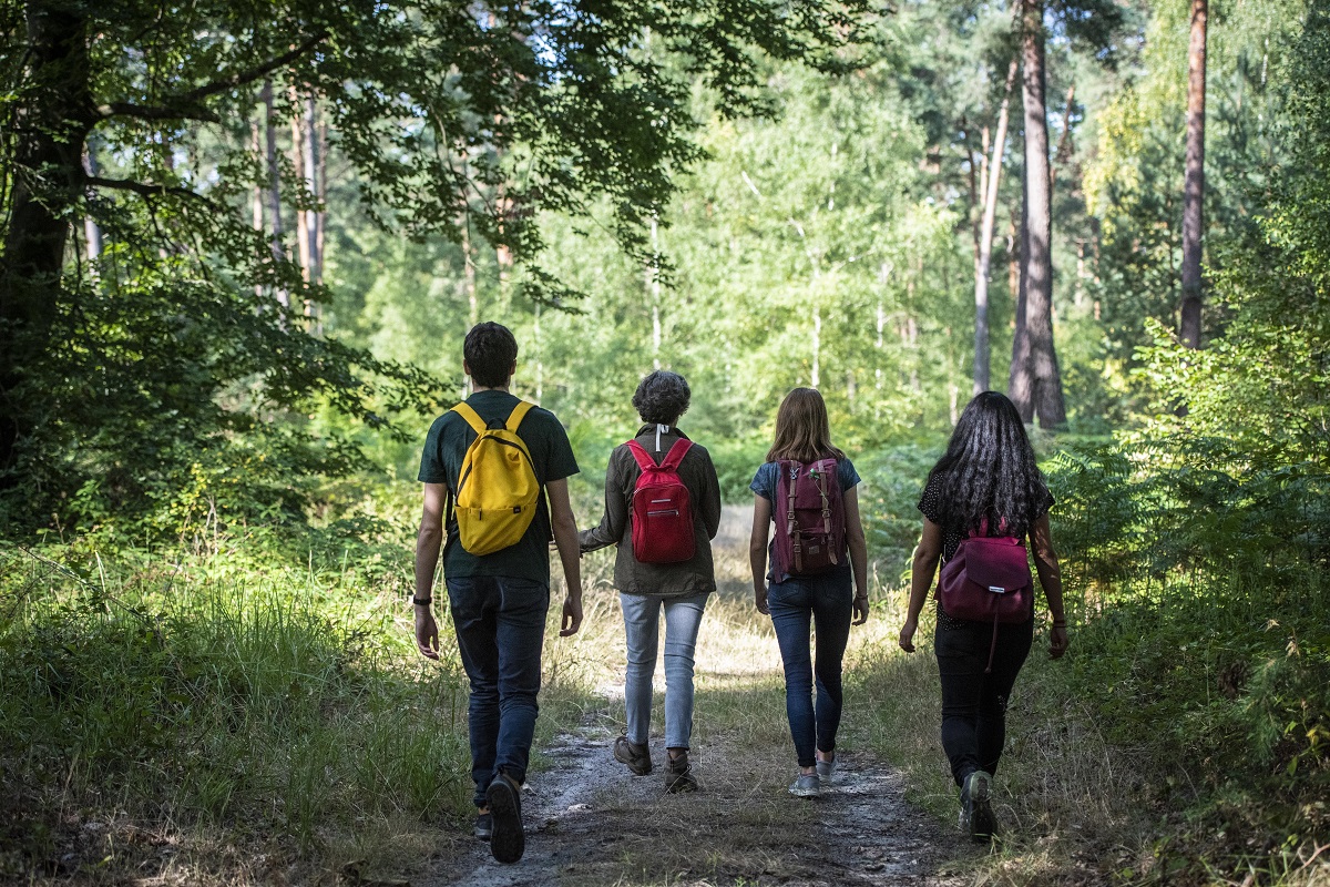 Walking, Cycling & Riding