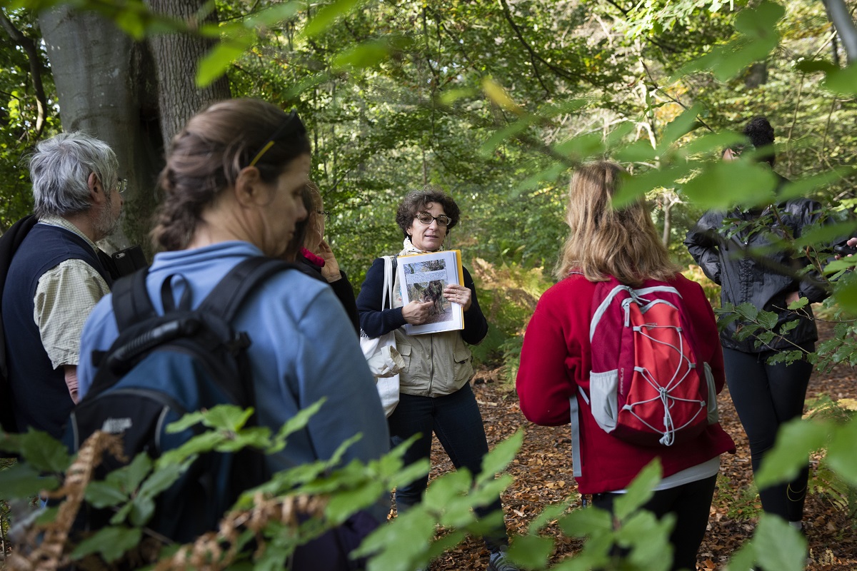 Nature Guides