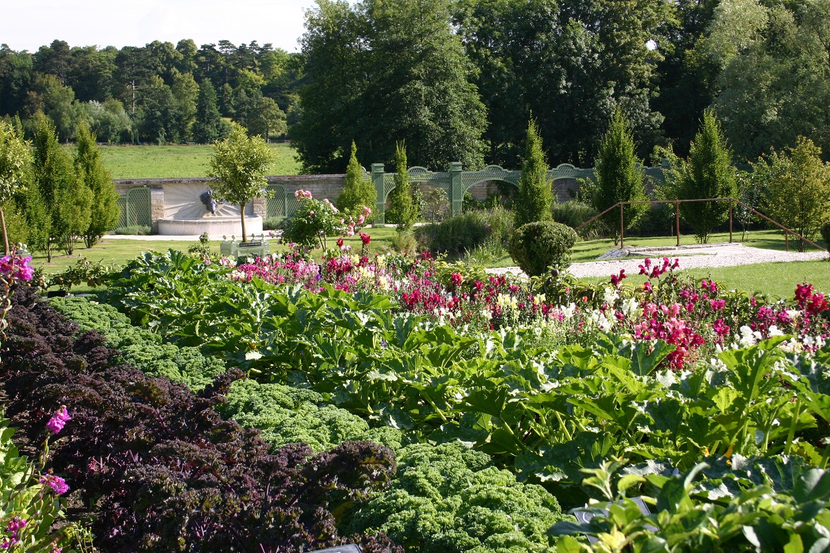 Le potager des princes à Chantilly se transforme en jardin japonais pour  l'été