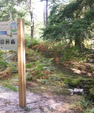 Pierre Monconseil Trail