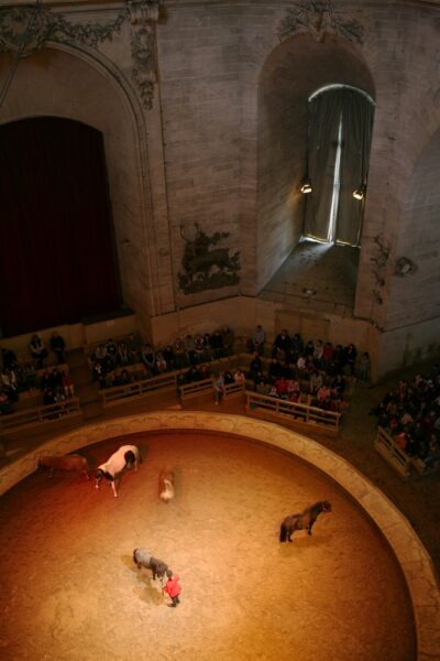 Living Horse Museum - Grandes Ecuries du Château de Chantilly - Chantilly  Senlis Tourisme