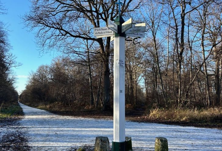 Conseils aux promeneurs